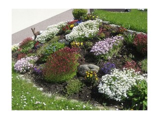 Haus mit Vorgarten 005