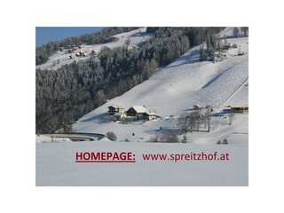 www.spreitzhof.at