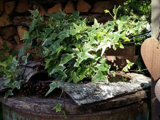 Herzlich Willkommen im Haus Zandl