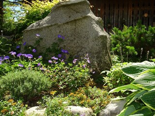 Kraxi,s Garten