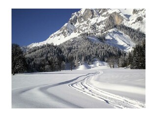 Spuren im Schnee