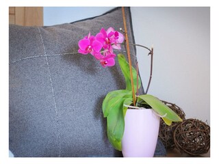 Naturnah Appartement - Appartement Wilde Wasser (3