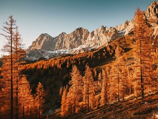 Brandriedel Bergzeit Raffalt