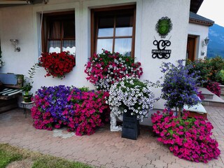 Floridani_Front_Flowers