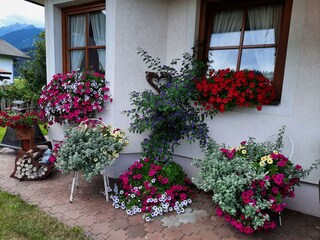 Floridani_Front_Flowers