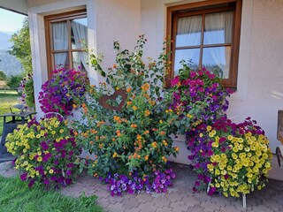 Floridani_Front_Flower