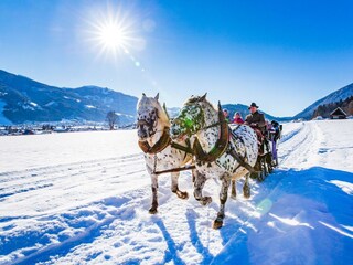 Pferdeschlilttenfahrt ©Tourismusverband Haus-Aich-