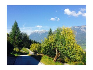 Aussicht auf den Dachstein