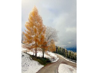 Herbst-Winter am Gössenberg