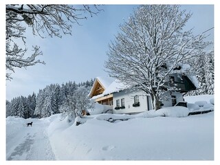Winteransicht