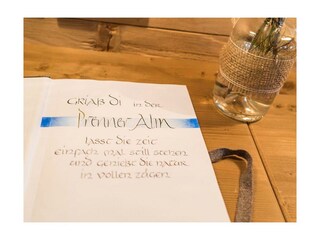 almhuette-almerin-prenner-alm-hauser-kaibling-10-1