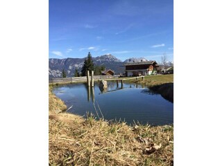 prenner-alm-sommer-schwimmteich
