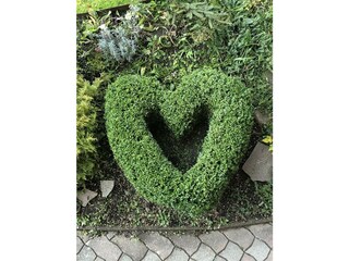 35A1F89D-2F7C-4B0B-AE91-94D04798675A