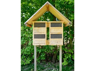 Casa per le vacanze St. Andrä am Zicksee Registrazione all'aperto 11