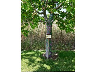 Casa per le vacanze St. Andrä am Zicksee Registrazione all'aperto 13