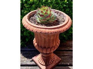 Casa per le vacanze St. Andrä am Zicksee Ambiente 37