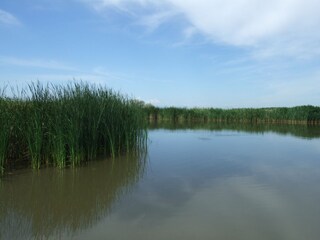 Casa per le vacanze St. Andrä am Zicksee Ambiente 31
