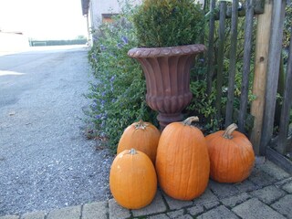 Casa per le vacanze St. Andrä am Zicksee Ambiente 12