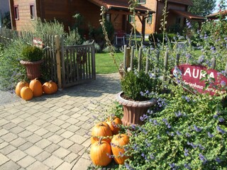 Casa per le vacanze St. Andrä am Zicksee Ambiente 32