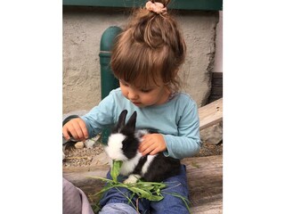 Arnoldhof Hasenfütterung