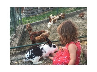 Arnoldhof Hühner und Hasen