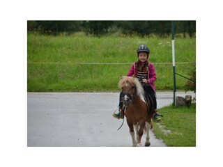 Arnoldhof in Aich_Bauernhof_Ponyreiten