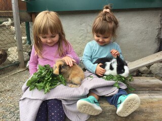 Arnoldhof Hasenfütterung