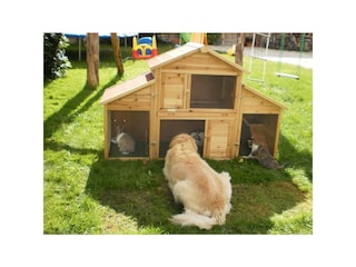 Biohaus Florian - unsere Haustiere