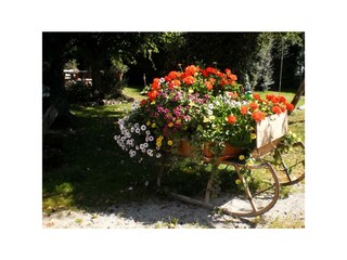 Biohaus Florian - Blumenschmuck
