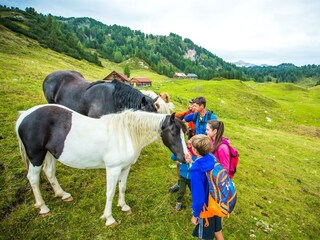 Kufstein - Grafenbergalm - Ahornsee - Weissenbach
