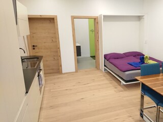 Mountain Whisper Einzimmer Appartement (1)