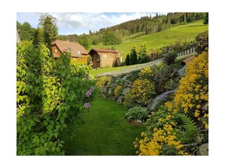 Blühende Steinmauer im Garten