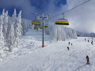 Märchenwiese Planai