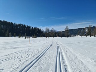 Langlaufen in der Ramsau