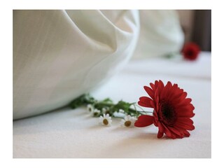 Schlafzimmer Appartment Planai