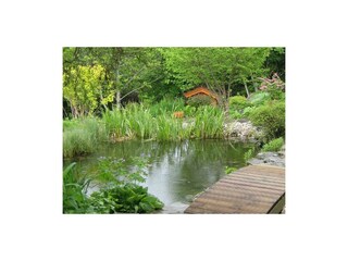 App. Moosbrugger - Gartenteich