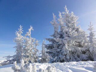 App. Moosbrugger - Winterlandschaft