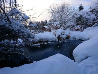 App. Moosbrugger - Gartenteich im Winter