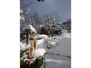 App. Moosbrugger - Winterstimmung