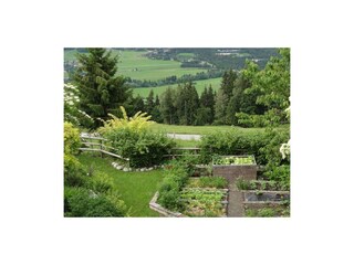 App. Moosbrugger - Gemüsegarten