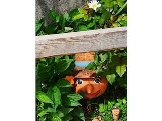 Gartenimpression