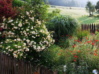 Unser Garten