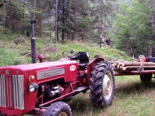 Holzarbeit muss auch sein ...