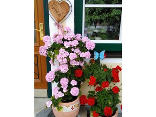 Apartment Haus im Ennstal Outdoor Recording 15