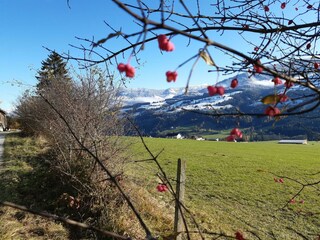 Haus Ennstalblick