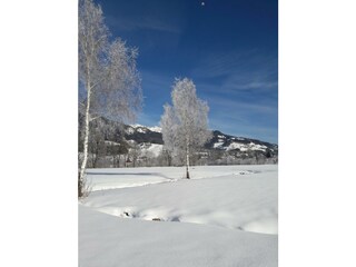 Haus Ennstalblick Winterwanderung
