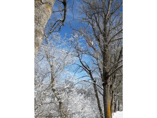 Haus Ennstalblick Winterwanderung