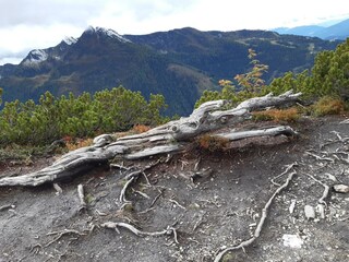 Haus Ennstalblick Ausflug Hochwurzen