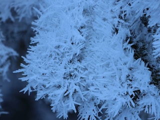 Eiskristalle