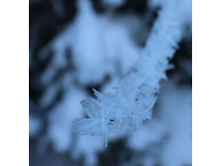 Eiskristalle /Bodensee